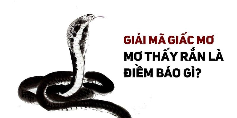 Những con số lô đề đi kèm với từng giấc mơ rắn