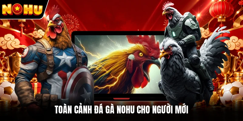 Toàn cảnh đá gà NOHU cho người mới