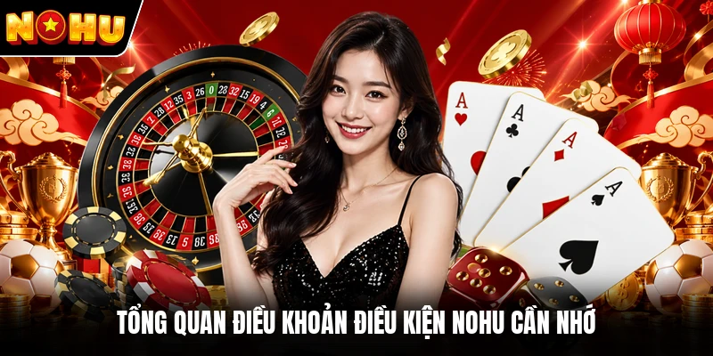 Tổng quan điều khoản điều kiện NOHU cần nhớ